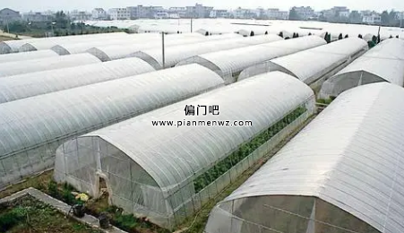 目前农村创业什么项目最赚钱