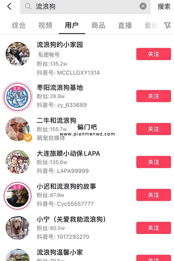 捞偏门利用同情心直播流浪狗赚钱的项目