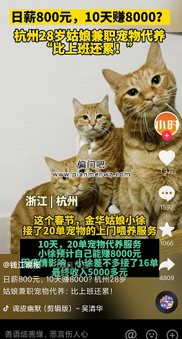 月入8000+同城宠物副业赚钱项目