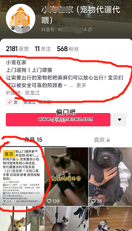 月入8000+同城宠物副业赚钱项目