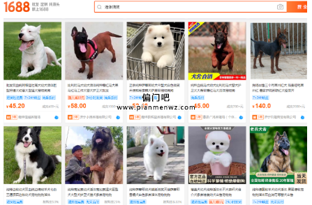小众赚钱生意,有团队闷声发财月收入10万+！