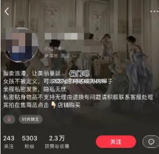 小红书平台上合法擦边球赚钱，通过卖内衣搞了5万+
