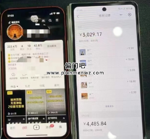 天涯资料新偏门玩法,88元一单,轻松月入过万