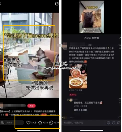 AI猫咪视频，月入过万的蓝海副业赚钱项目！