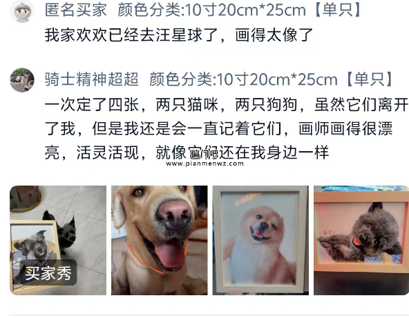 宠物定制副业赚钱项目,轻松月入过万!