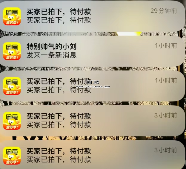 月赚5000+的闲鱼卡券自动发货躺赚项目