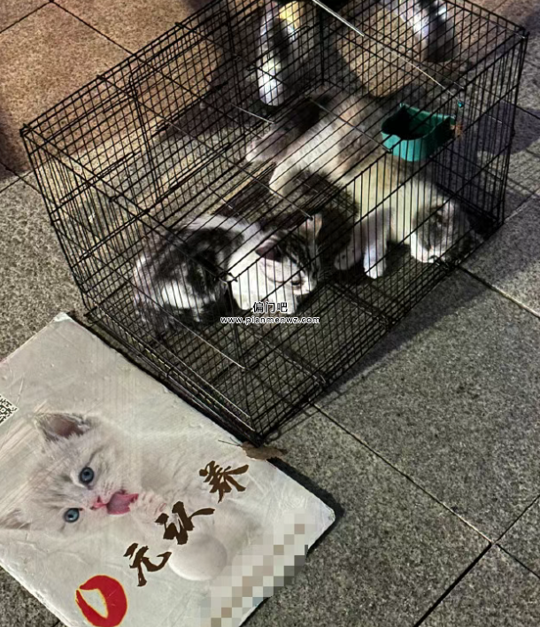 日赚5000+的空手套白狼赚钱路子