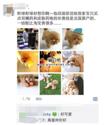 宠物社交偏门暴利项目,一个月赚1万+