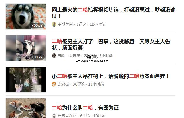 宠物社交偏门暴利项目,一个月赚1万+